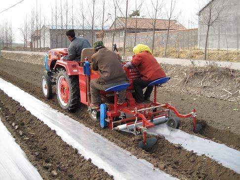 Sweet Potato Planter Machine