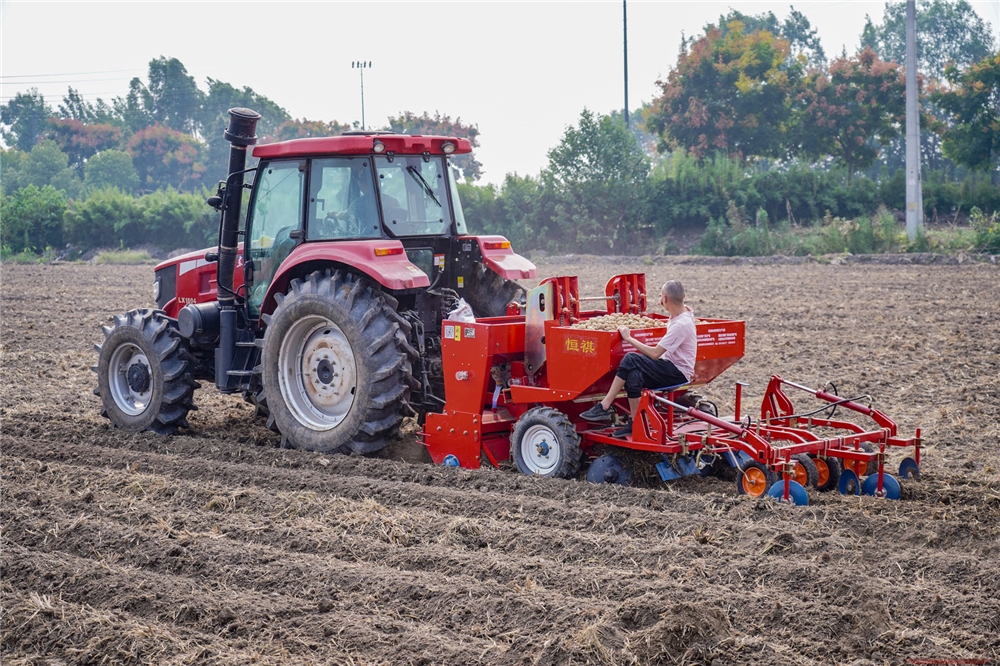 Sweet Potato Planter Machine
