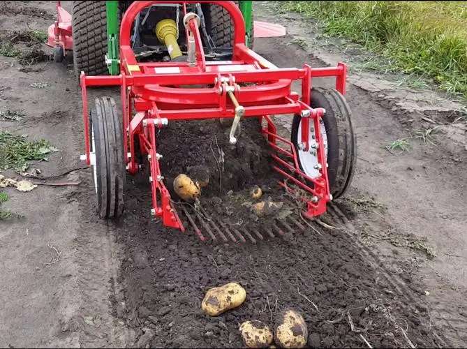Potatoes Harvester Driving by Tractor