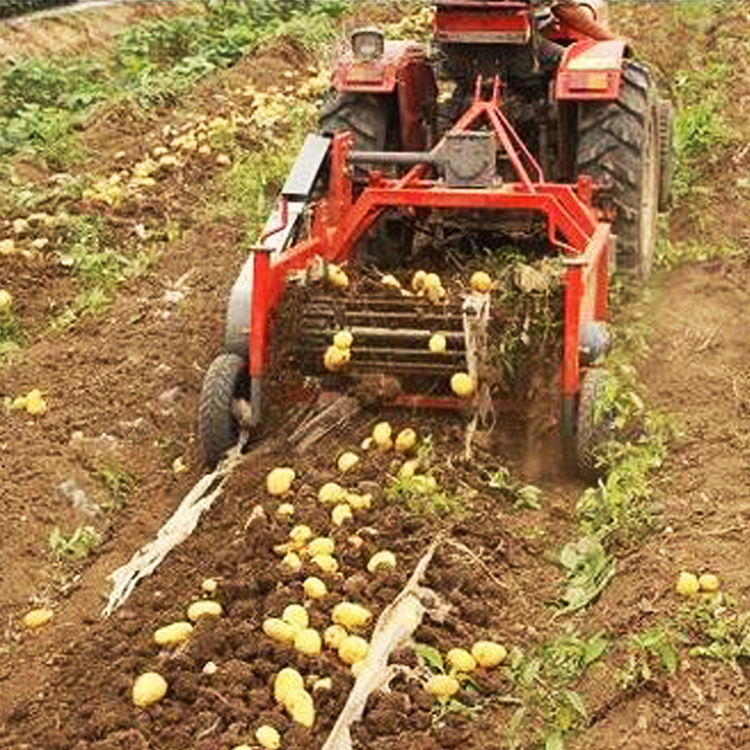 Small Potato Harvester