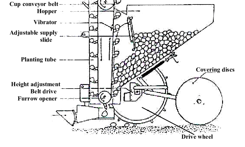1 Row Potato PlanterPotato Seeder With Fertilizer Applicator