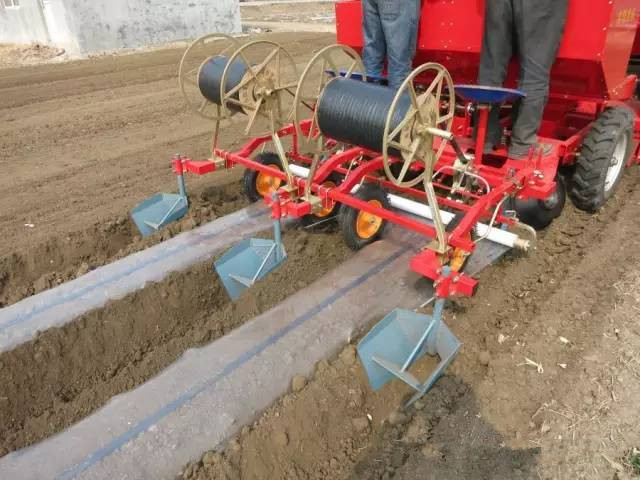 Shandong     Sales 3 Point Hitch Potato Planter