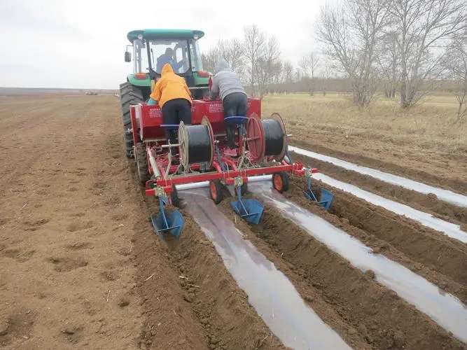 Sweet Potato Planter Machine