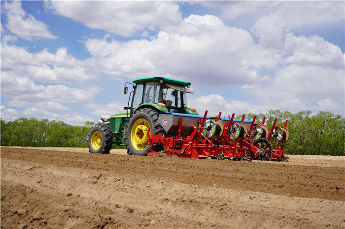 Hot Selling 5 Shank Chisel Plow for Sale