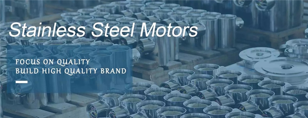 Promotional Various B3 Foot Mounted TEFC IEC Stainless Steel Motor for Food Processing Plant