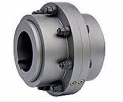 High Torque Gear Coupling Standard Customized JAW Tooth Stainless Steel Nylon Flange Flexible Shaft Gear Chain Couplings