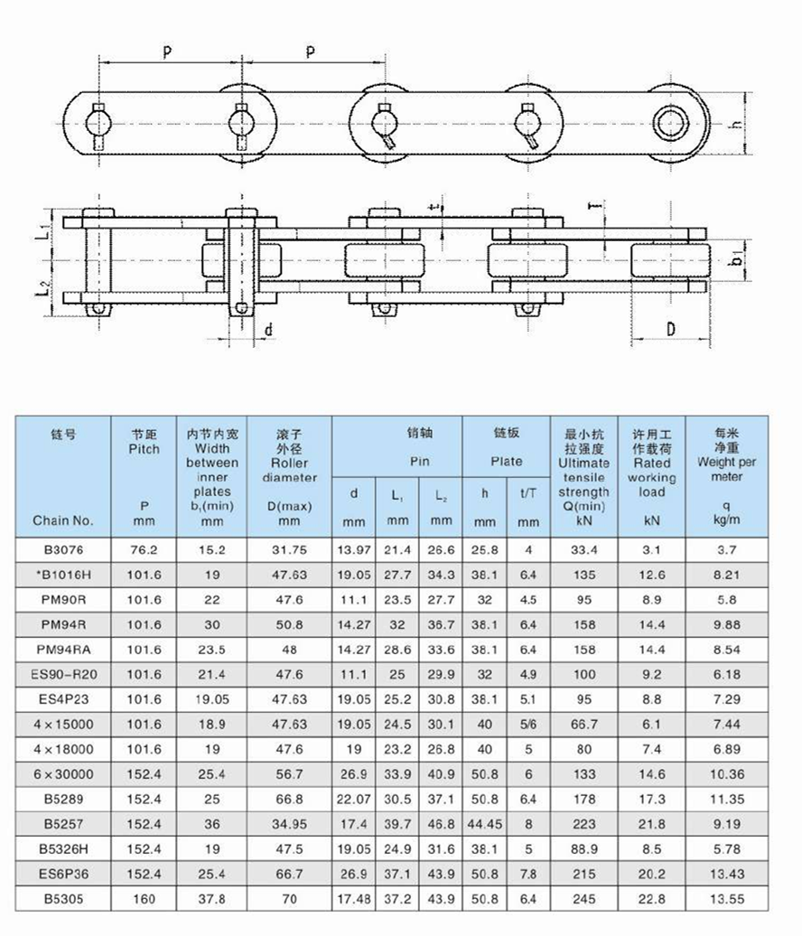 China Manufacture Chains Carbon Stainless Steel Palm Oil Conveyor Chain With Straight Plate with High Quality