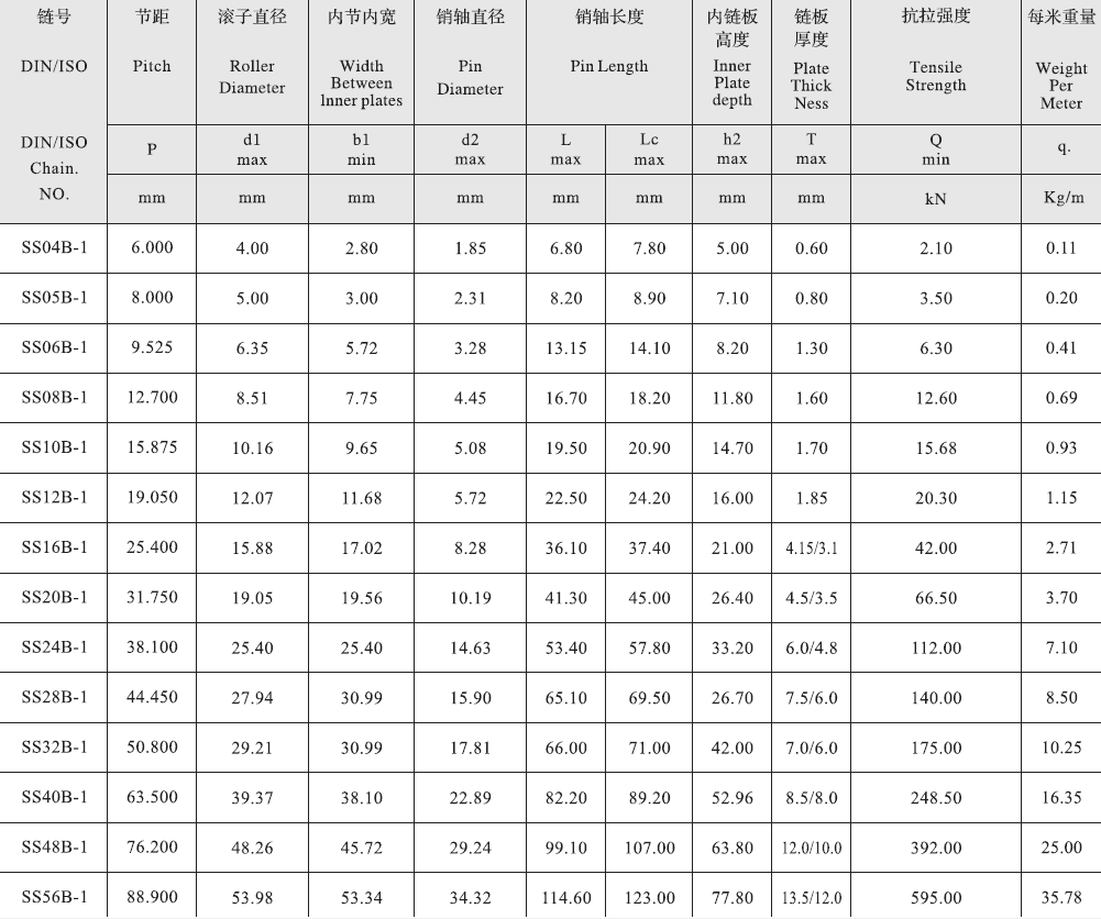 SS20B-1 B Series Stainless Steel Short Pitch Precision Single Roller Chain and Sprockets in Steel