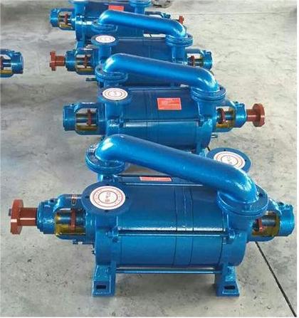 h Series 150 L/s Lobe Rotary Piston Vacuum Pump for Oil