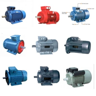 IP68 Protection Stainless Steel Non Standard Gear Motor Reducer Worm Gearbox for Fountain and Irrigation Industry