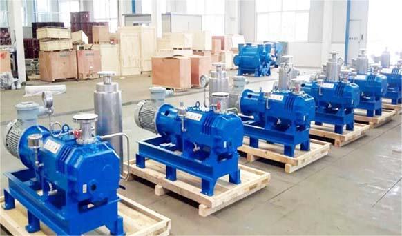 h Series 150 L/s Lobe Rotary Piston Vacuum Pump for Oil