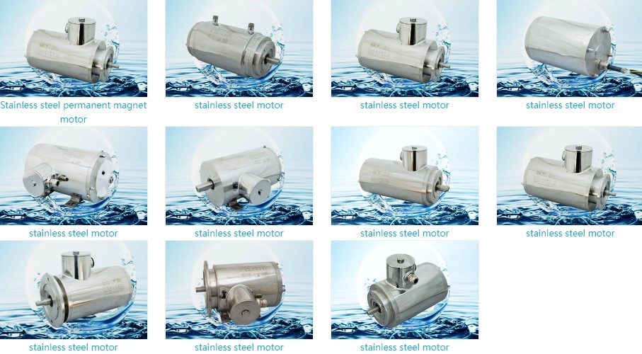 Brand New Stainless Steel Electric Waterproof Motor Made in China