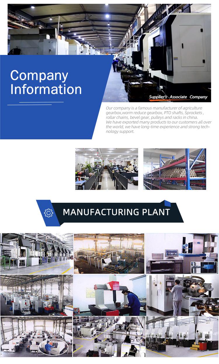 Chinese Oil-Free Scroll Screw Compressor (EP20XA) New Shanghai Air Home Use Manufacturing Plant New Motor Engine Bearing