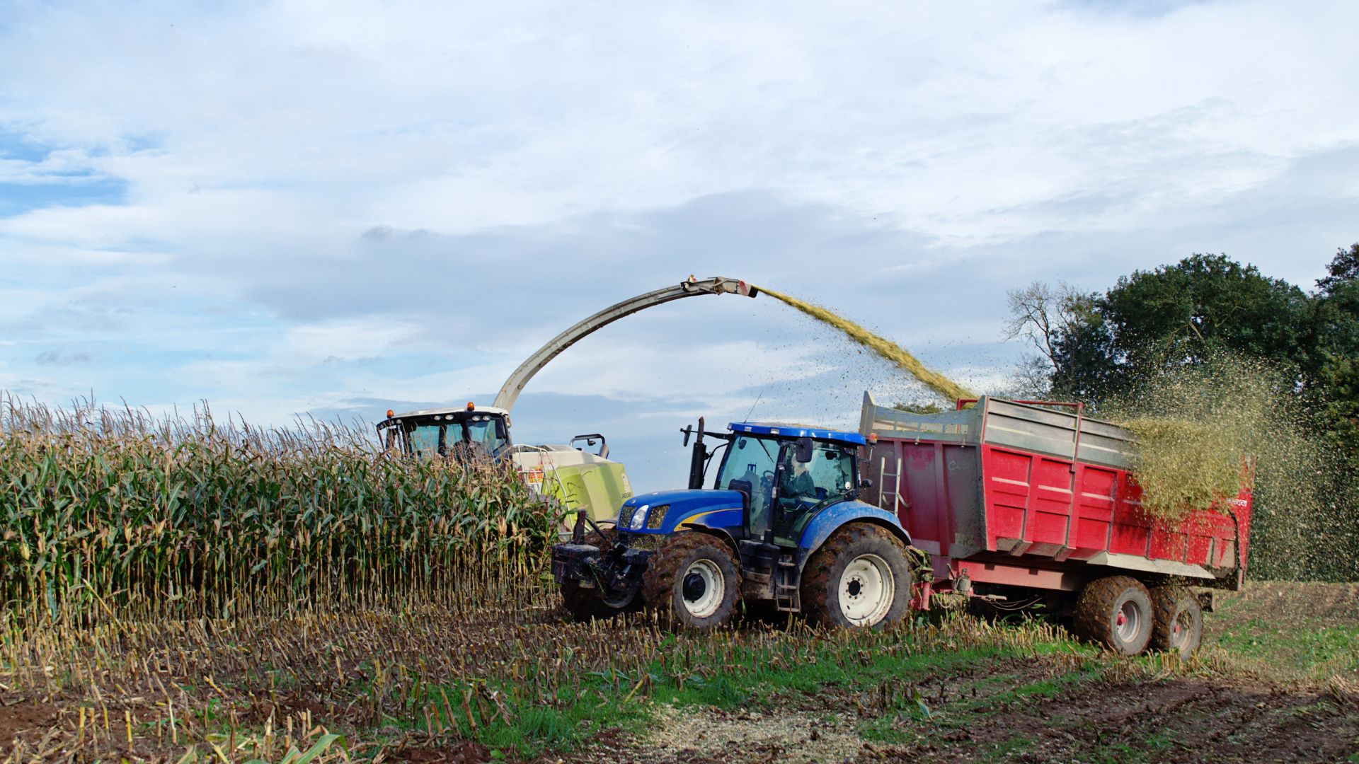 High Quality Double Disc Silage Machine Gearbox Forage Harvester Speed Reducer with Square round Gear Drive High Efficiency