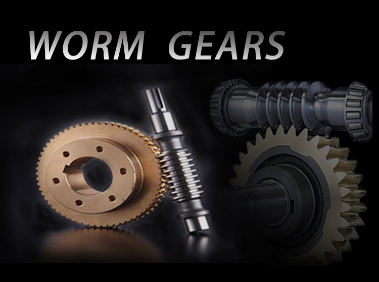 Customized Shaft Metal Helical Brass Worm Gears Bevel Gear