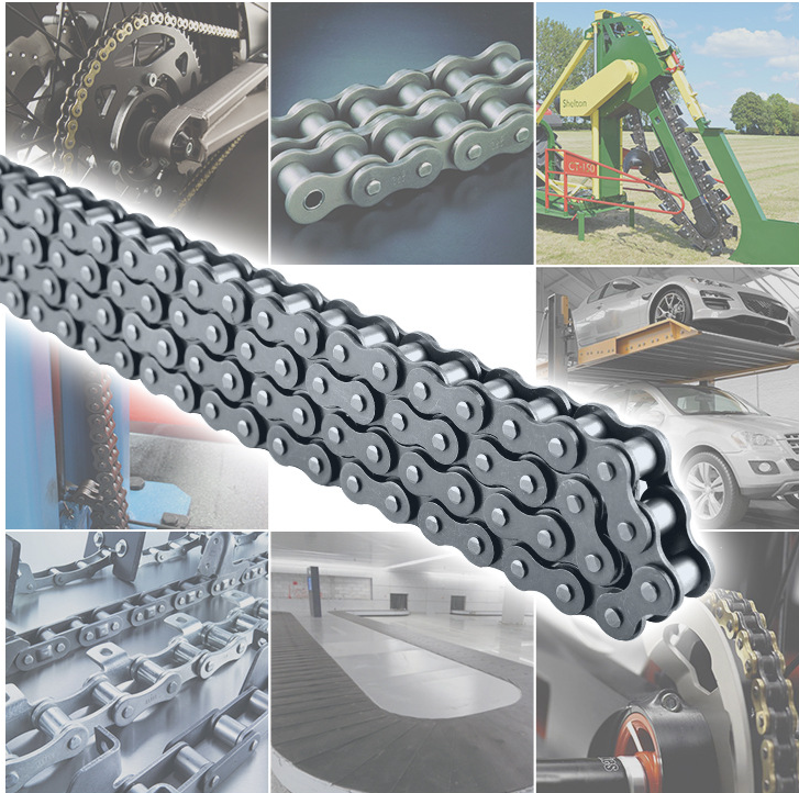 Industry Transmission 10B-2 16b-2 Stainless Steel Double Row Pitch Duplex  Roller Chain