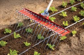 Farm Implement Tractor 3 Point Hitch  Rotary Heavy Duty Drag Spike Tooth Harrow Plough