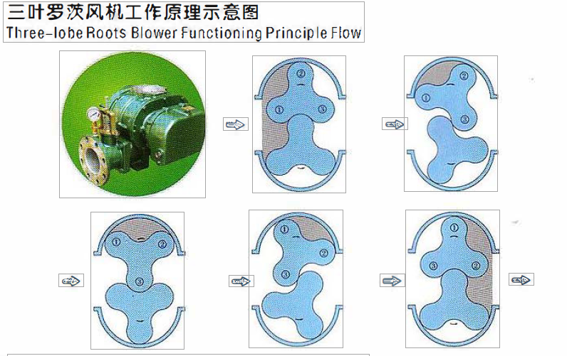 Fish Farm High Pressure Three Lobe Breeding Root air Blower  0.75kw-200kw 1hp-280hp
