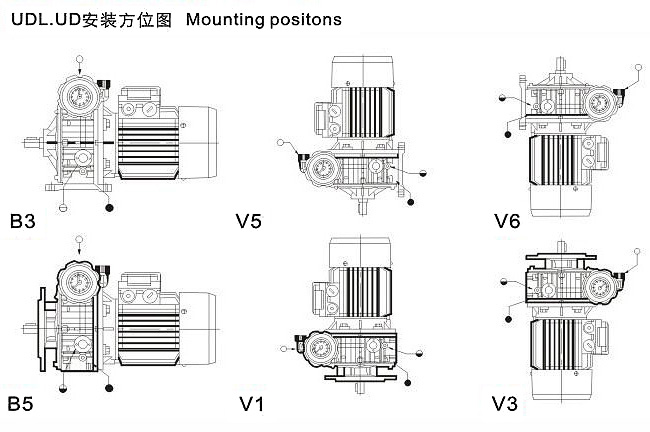 Raydafon Hot Sale Udl Series Infinite Durable Speed Variator Transmission Gearbox Speed Reducer