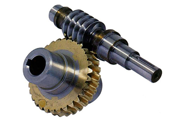 European Standard Worm High Wear Resistance Gear