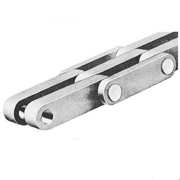 Leaf Chain BL1022/BL1023/BL1034/BL1044/BL1046/BL1066/BL1088 for Forklift Truck Lifter
