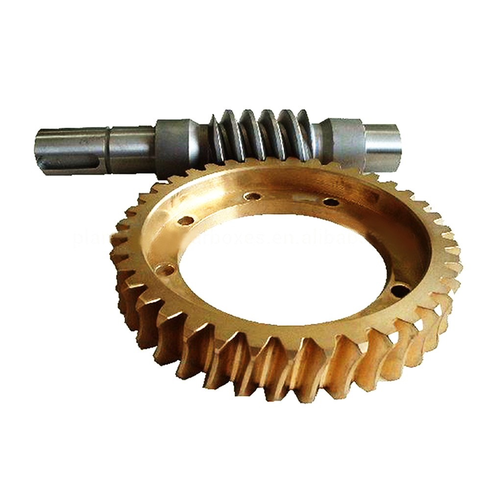Custom-made Non-standard Stainless Steel Worm Gear Gears and Ring Worm Wheel