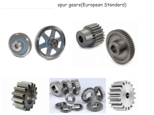 Stainless Steel European Standard Spur Gears