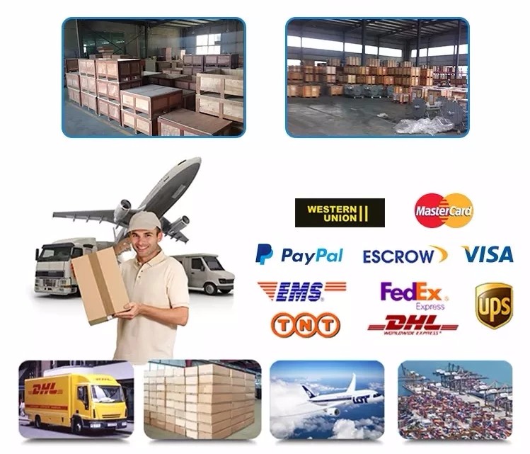 Professional Electro Hydraulic Power with Low Price