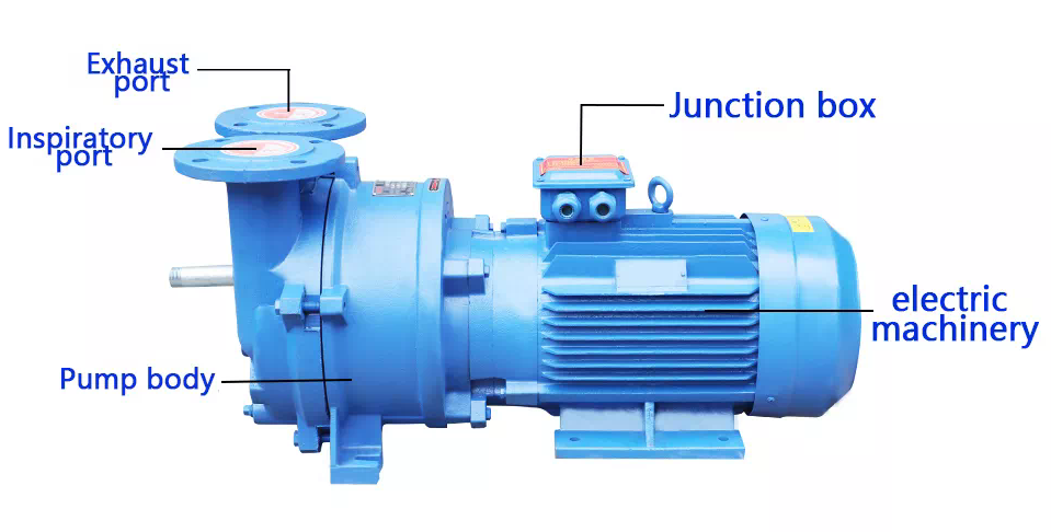 2BV Series Stainless Steel Single Stage Water/Liquid Ring Vacuum Pumps With Gas-water Separator