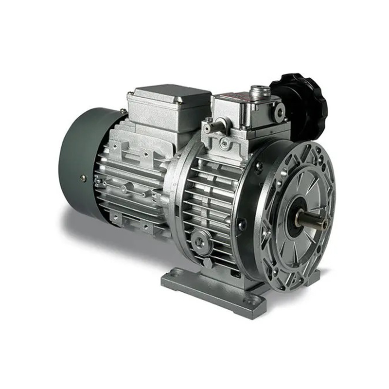 Worm Gear Reducer Electronic Variator Hollow Shaft Motor Speed Variator Bevel Helical Gearbox Stepless Speed Variator