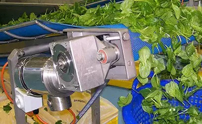 High Quality Single-Phase TEFC NEMA Stainless Steel Motor Durable for Food Processing Plant Use