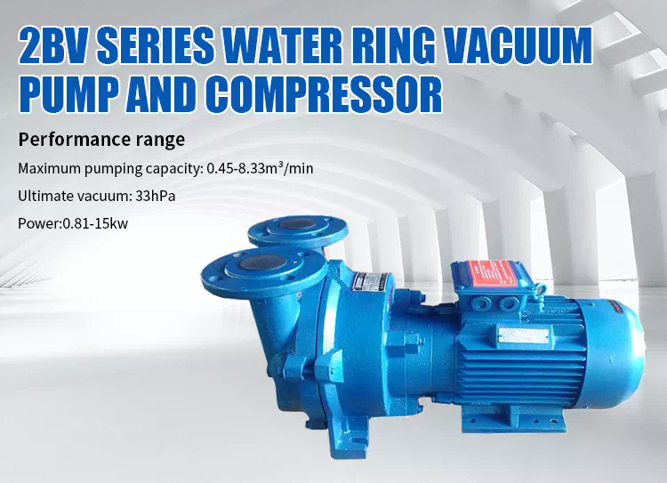 2BV Series Stainless Steel Single Stage Water/Liquid Ring Vacuum Pumps With Gas-water Separator