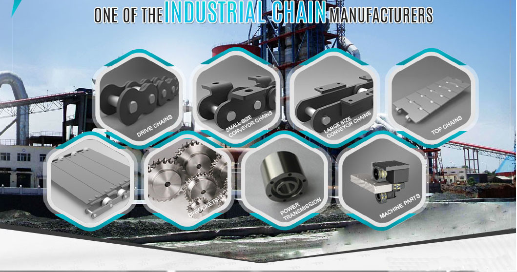 Industry Transmission 10B-2 16b-2 Stainless Steel Double Row Pitch Duplex  Roller Chain