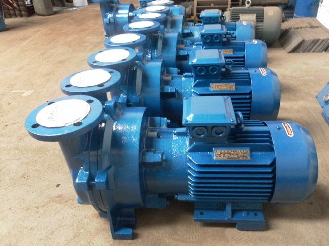 h Series 150 L/s Lobe Rotary Piston Vacuum Pump for Oil