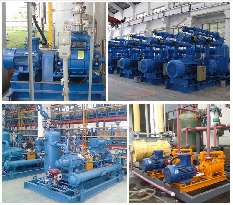 h Series 150 L/s Lobe Rotary Piston Vacuum Pump for Oil