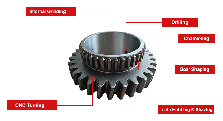China Manufacturer Wholesale Worm Gear Plastic Made by EP Ltd