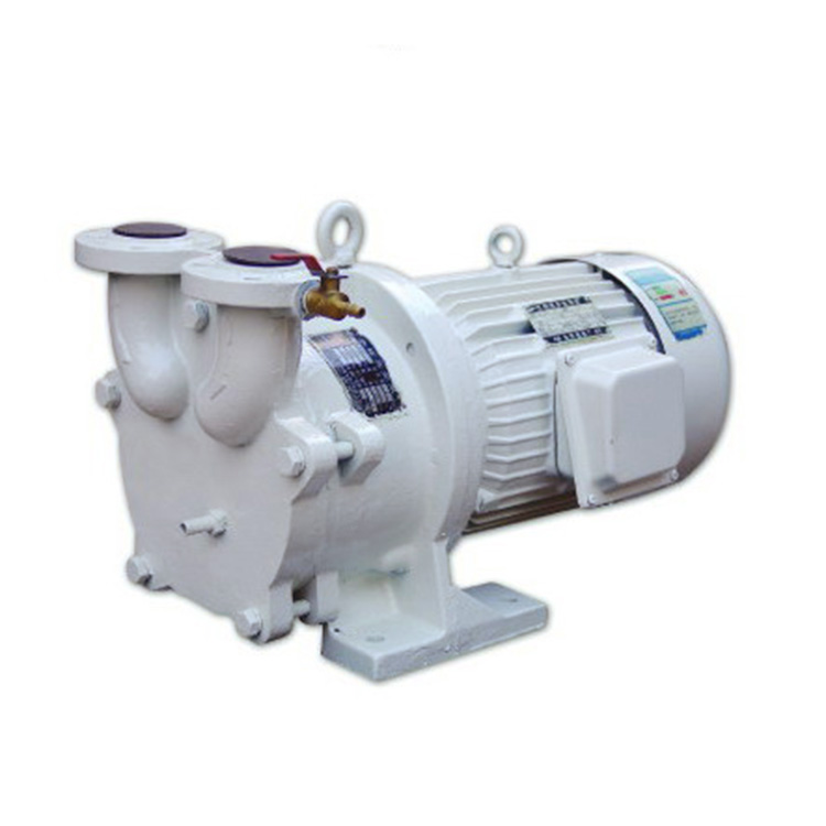 Multifunctional Single Double Stage Liquid Water-ring Vacuum Roots Rotary Van Piston Pump Replace