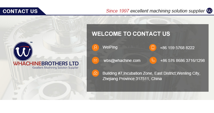 Customized Transmission Gear for Tricycle Spare Parts with High Quality